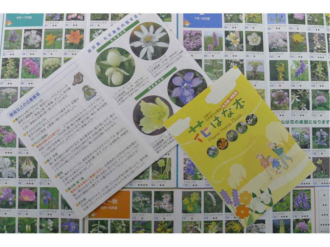 �Ԃ͂Ȗ{(���K�E�當�ɍ炭�Ԃ̈ē����q�j����l����v���[���g�I