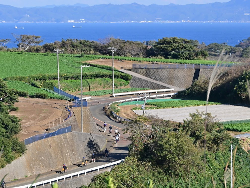 N}ł͓Ȃׂ]ԂȂOKB dAVXgt⓹NNB Ȃ̌iFĂ݂܂񂩁H 