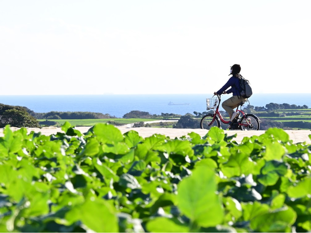 ̒̍דI C܂ő_CRLxcBȂĂB 