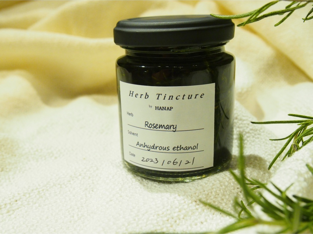 お持ち帰り見本