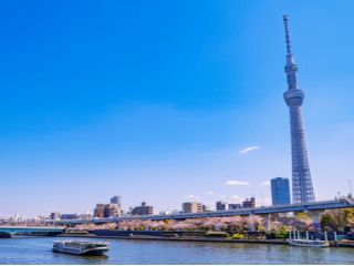 隅田川クルーズ