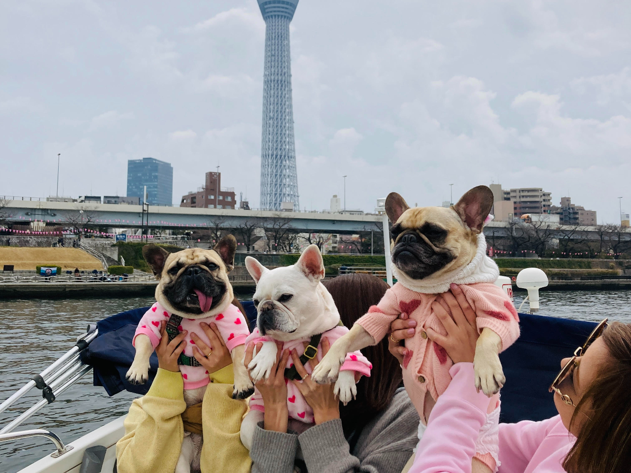 �y�b�g�Ƃ̏�D���\�ł��B