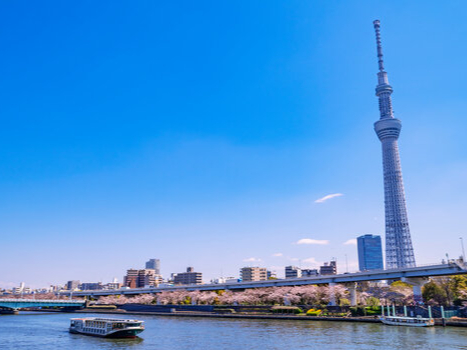 隅田川クルーズ