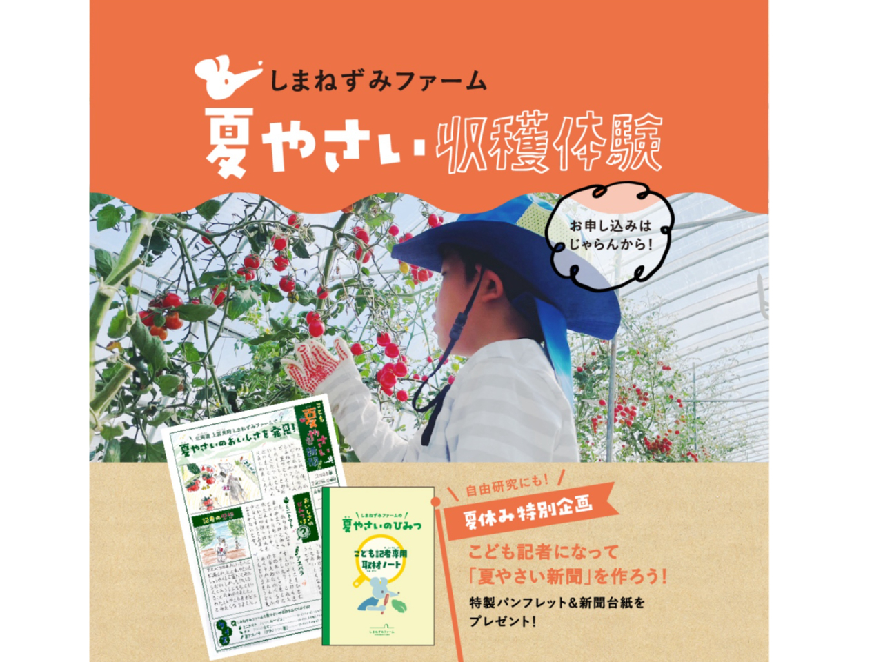 ＼自由研究にもぴったり！／ 夏やさいを収穫して「新聞づくり」体験！