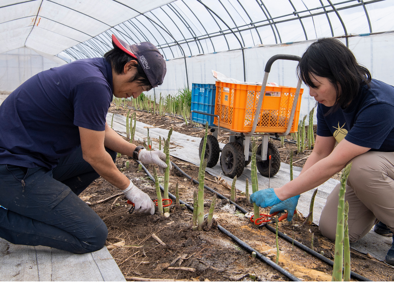 �ʐ^���B�e���Ȃ���A���F�B�ƒ���Ȃ���B�F�X�y���߂܂�