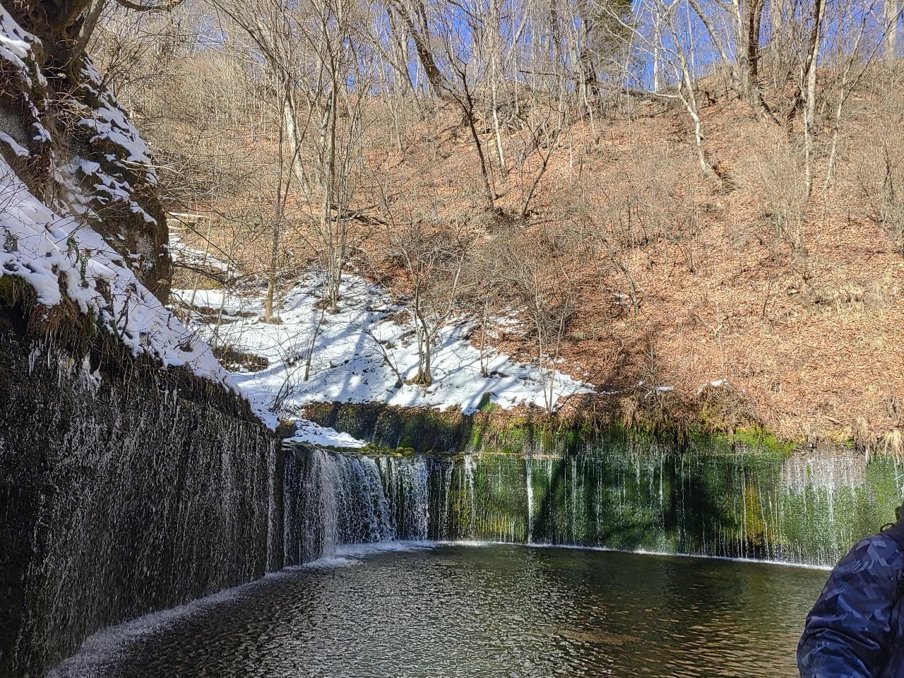 ̑ʐ^䎆ɂRɉԂfUCāAFlɑϊ΂鐢EɈ̎艟ԗt𑗂܂BAgG܂Œv܂B