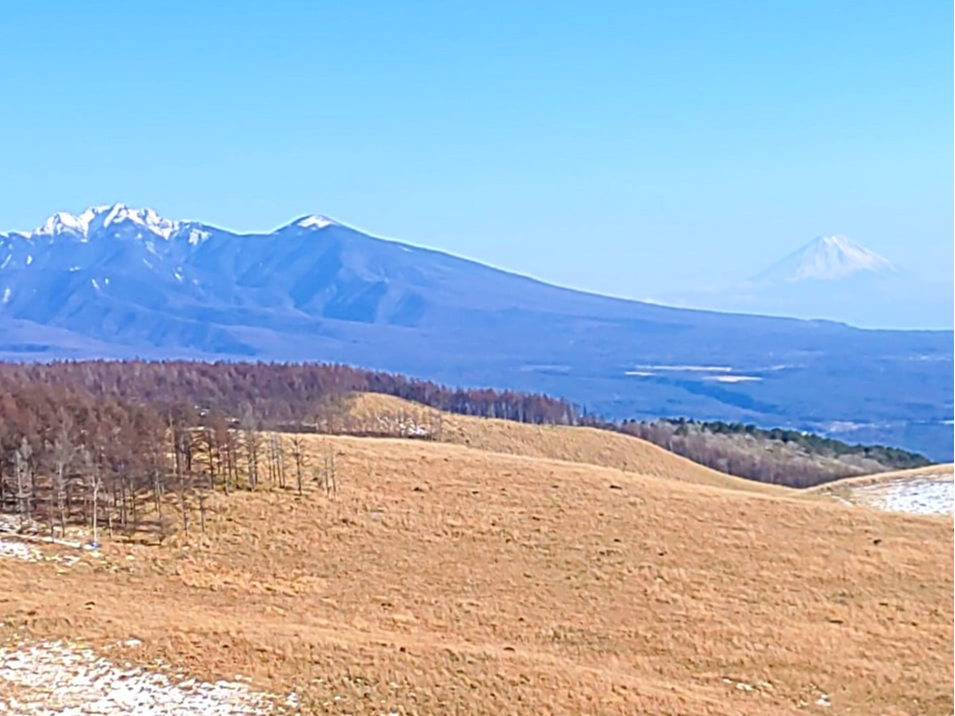 iʐ^@xmRʂ荞݂܂B̎ʐ^ɉԂLOɂĂ݂܂񂩁H