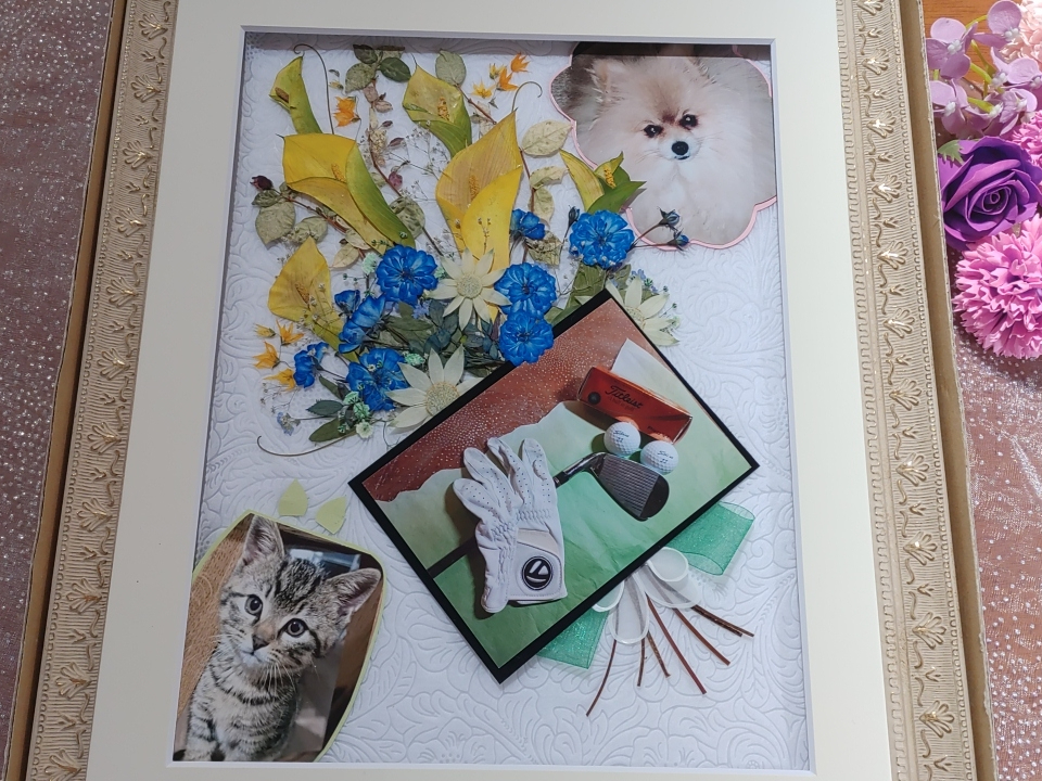 ybgƂvw̎̂ʐ^ŉԃCeAz