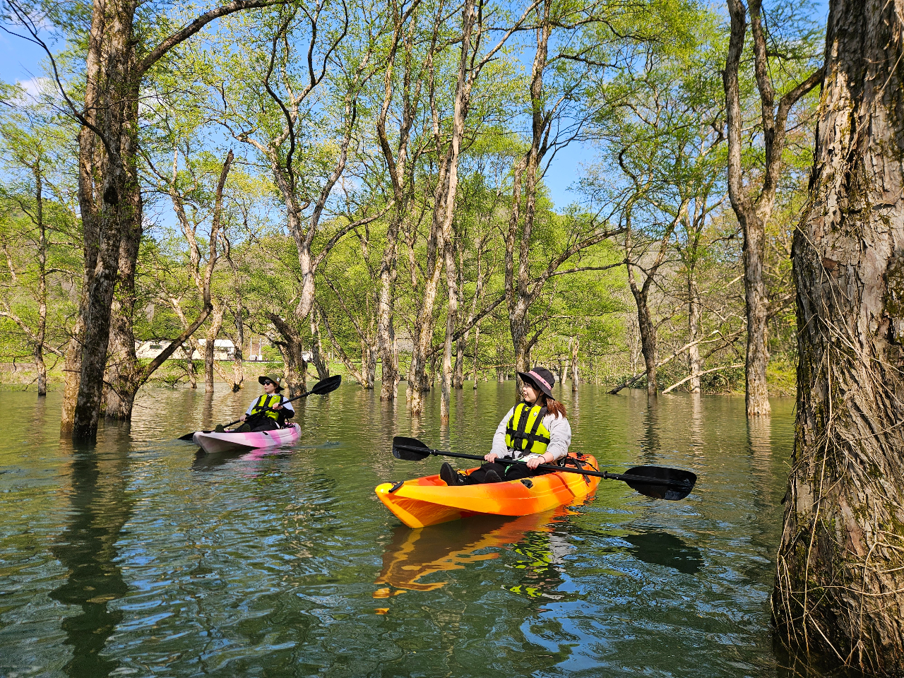 ジャンク！ネックRGX520J・ボディ112?DUNCAN　4レイル　動画！ ジャンク！ネックRGX520J・ボディ112?DUNCAN 4レイル 動画！ ジャンク