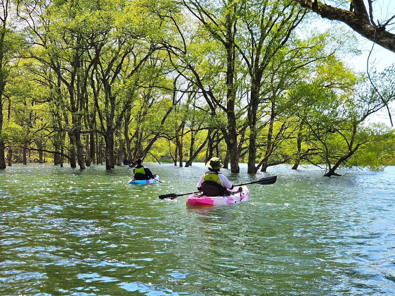 春だけの特別な体験／【岩手・西和賀町】絶景の水没林でプライベート