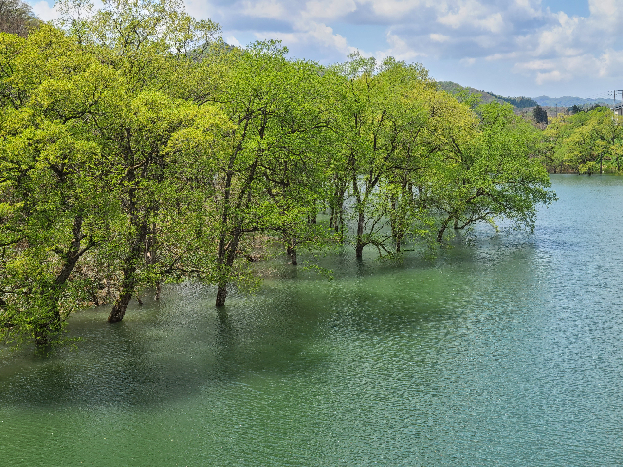 春だけの特別な体験／【岩手・西和賀町】絶景の水没林でプライベート
