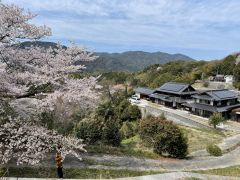 里山で育てた「地そば」を厳選し十割のおそばを打っています。みなさんに十割そばの美味しさと、そば打ちの楽しさお伝えします!