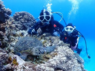 初心者大歓迎!リーズナブルな価格でダイビングを体験しましょう☆