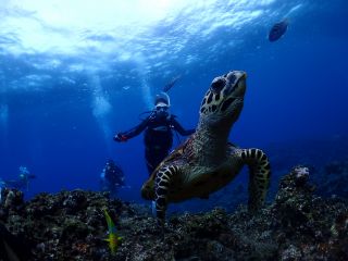 慶良間の海で一緒に想い出つくりをお手伝いします(^^)!!