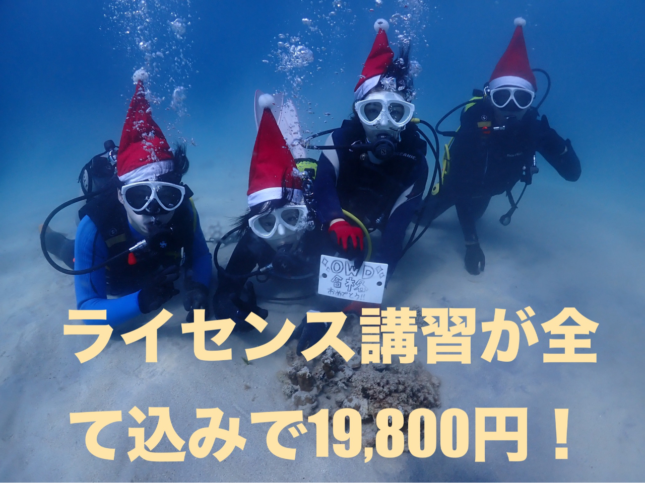 ywłVԁICZXuK̂Ƃ͐EcǊԂ̊Cőzo(^^)!!