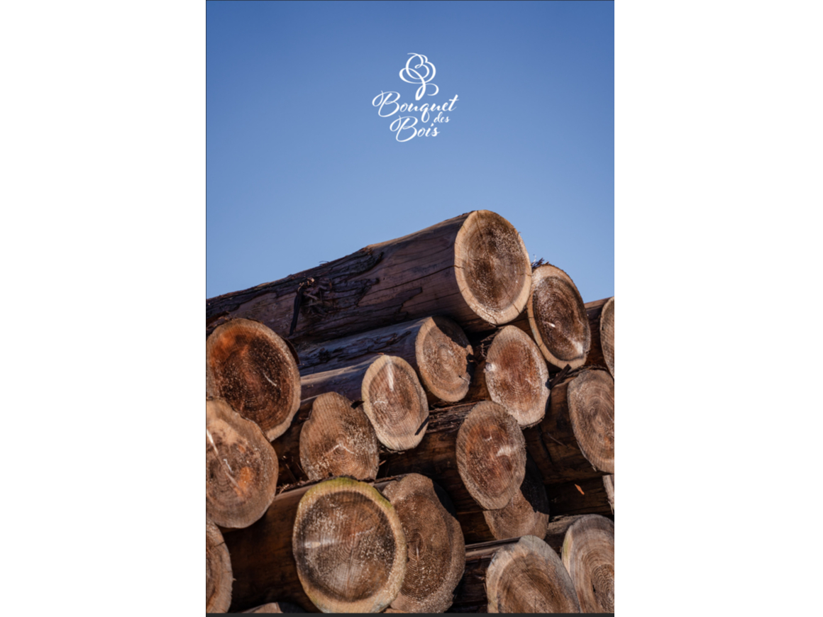 木のぬくもりを味わえる非日常体験をしてみませんか?