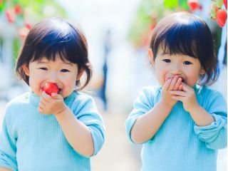 お子さんも喜んで食べられます♪