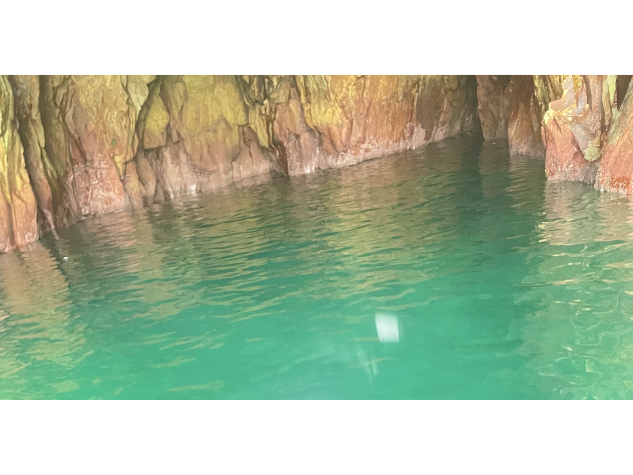 ����E�ܓ��ŉČ���̓��A�X�C��