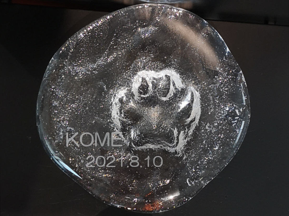 可愛くとれました♪