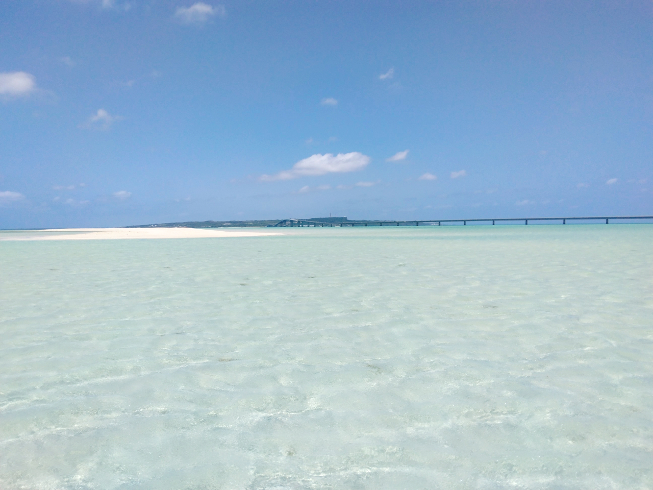 j̕lӂ͉Ȃ̂ŁA[ꏊłl̍炢̐[ł(^^)