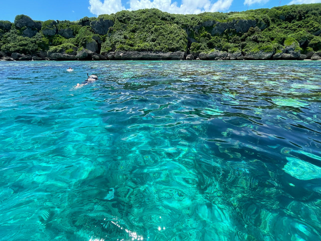 �V���m�[�P���c�A�[�̃|�C���g