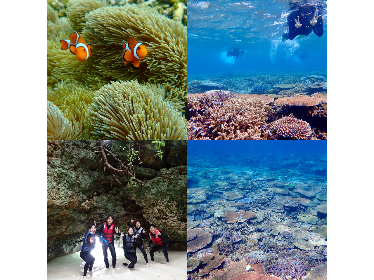 �鋫���A�t�߂ɂ̓v���C�x�[�g�r�[�`������܂�