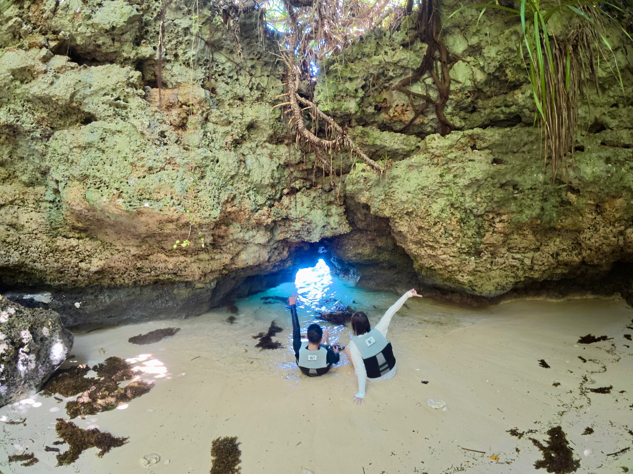 �����j���ł��ǂ蒅���鋫���A�I��̏����ȓ�����������ƁA�����ɂ͊��S�v���C�x�[�g�̋�Ԃ��I