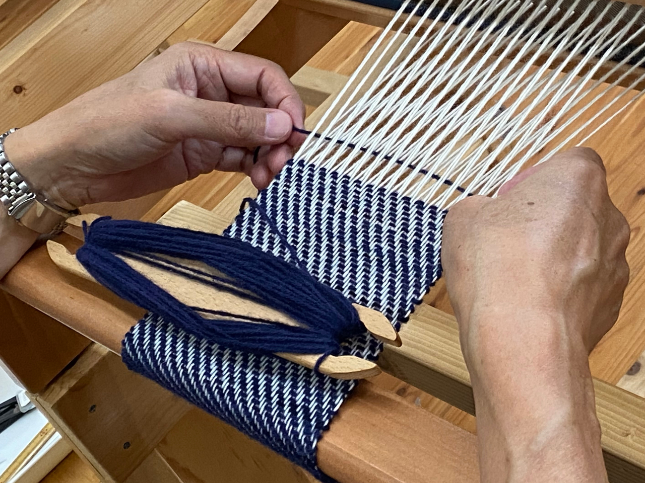 �I�ԃ��R���̐F�ɂ���āA���͋C���ς��܂�