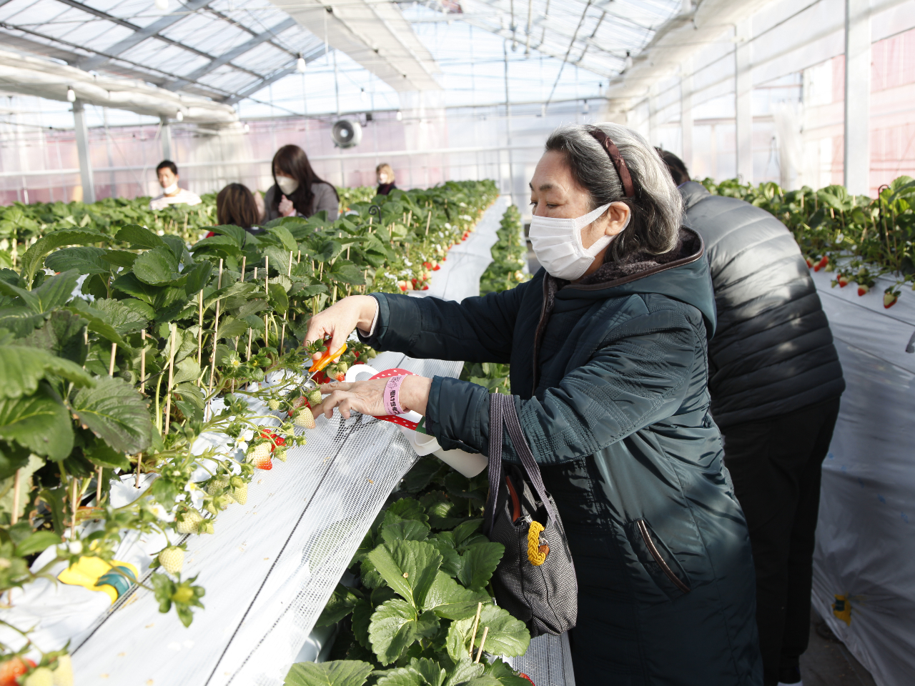 �����␶��󋵂ɂ����܂����A�ő�łX�i��(�ʏ�4�`7�i��)�̂�������H�ה�ׂĂ��������܂���