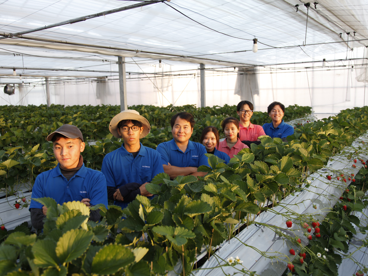 �D�����X�^�b�t�΂���ł���