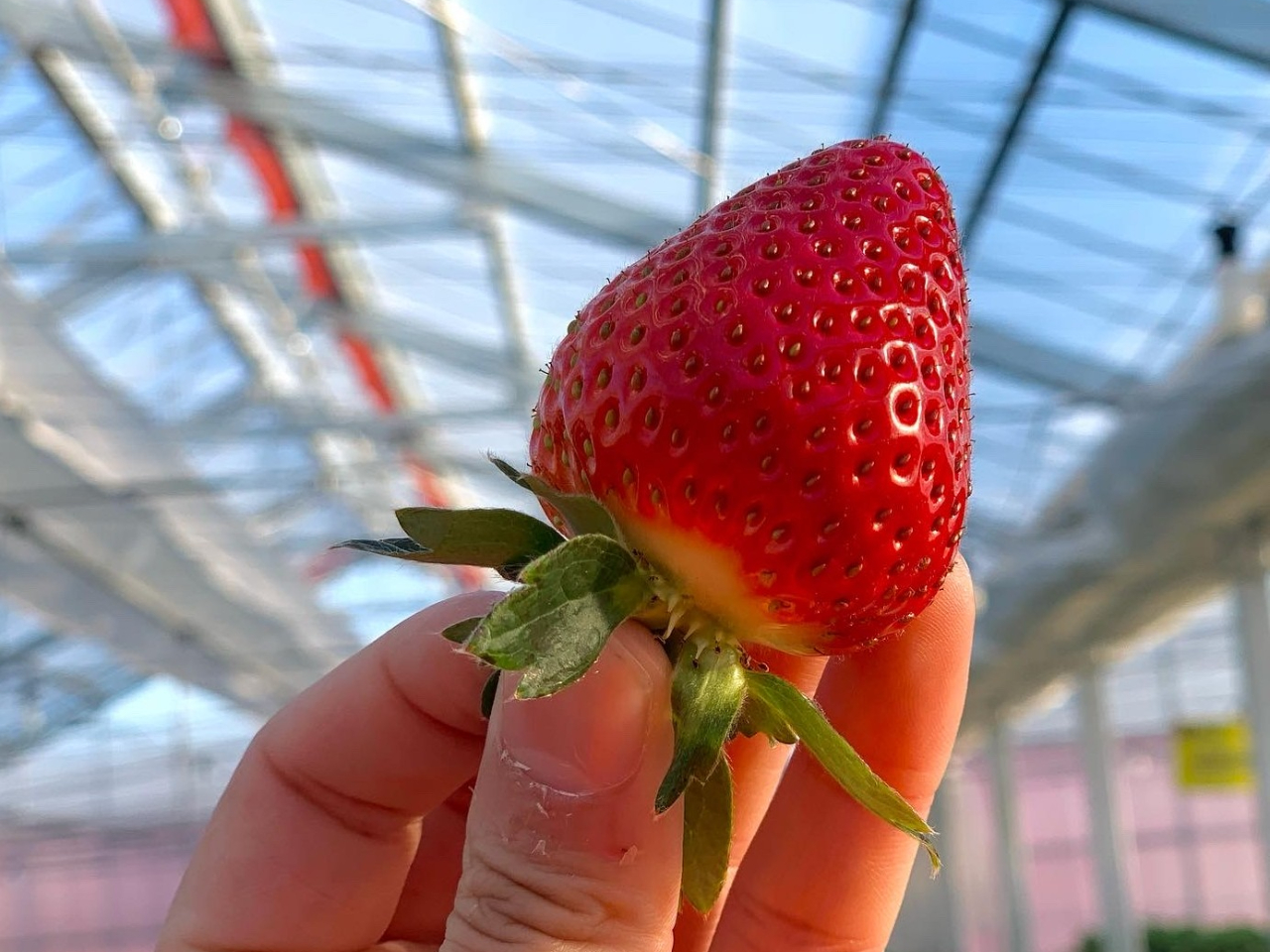 �������͐�[���Â��̂ŁA�w�^�̕�������H�ׂ�Ƃ��Â������邱�Ƃ��ł��܂���I