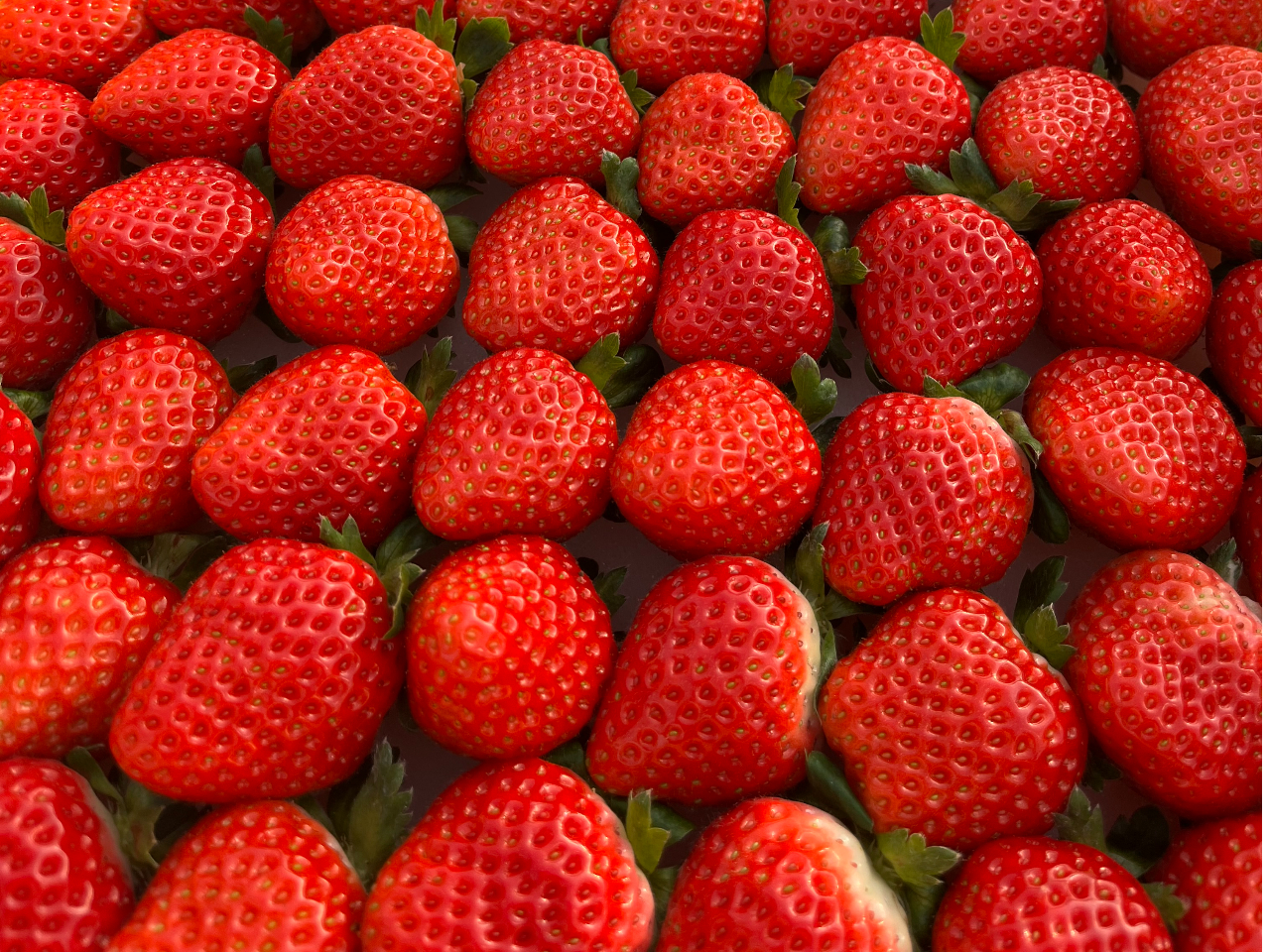 ͐[Â̂ŁAw^̕HׂƂÂ邱Ƃł܂I