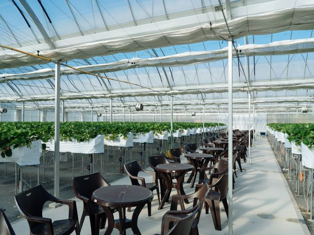 nEXɃe[uƈ֎q̏܂BE񂾂Ă肨オ肢܂B