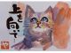 【上を向いて、、、】