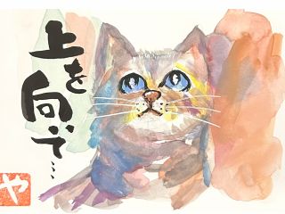 上を向いて…いいことあるニャン