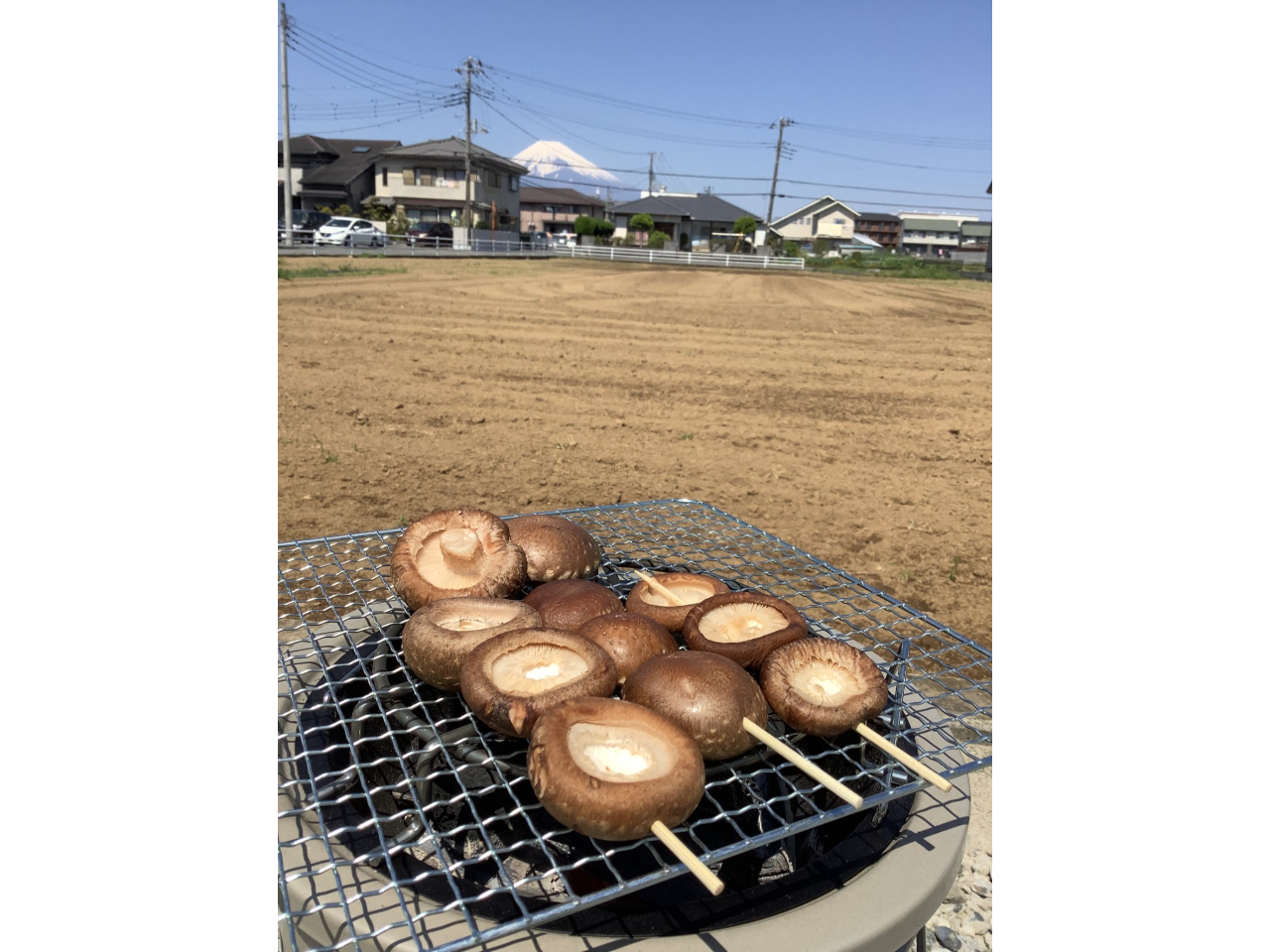 天気が良ければ富士山も臨めます♪