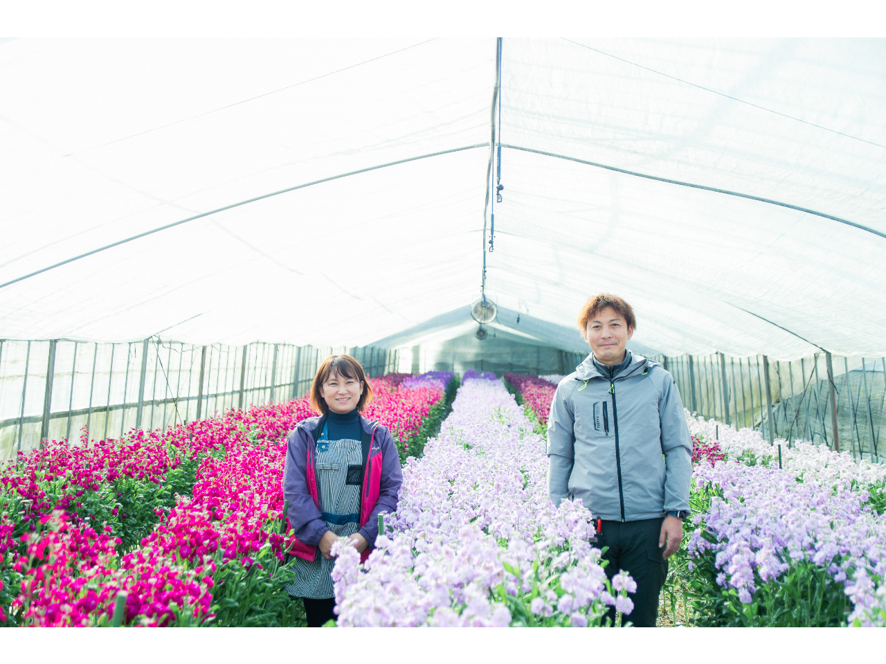 hCt[ɒSƂȂĎgłK̉Ԕ_ƁE΃t[t@[̔΂v