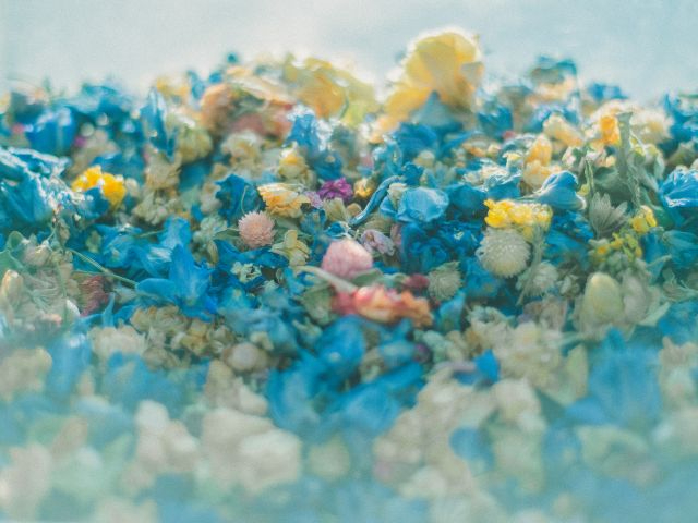 LoXt[ɎgpFN₩ȃhCt[