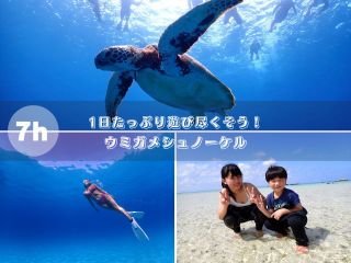 【石垣島・1日】ウミガメシュノーケルで贅沢なひとときープレミアムプラン【最新機種で撮影無料】