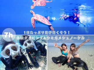 【石垣島・1日】初めての海を贅沢に!初心者向け体験ダイビング&ウミガメシュノーケルー極上プラン【最新機種で撮影無料】