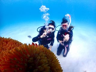 【石垣島・1日】初めての海を贅沢に!初心者向け体験ダイビング&ウミガメシュノーケルー極上プラン【最新機種で撮影無料】