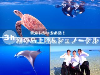 【石垣島・半日】泳げなくてOK!夢のウミガメシュノーケルー遭遇率90%の人気ポイントへ!【写真無料】
