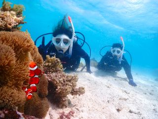【石垣島・1日】初めての海を贅沢に!初心者向け体験ダイビング&ウミガメシュノーケルー極上プラン【最新機種で撮影無料】
