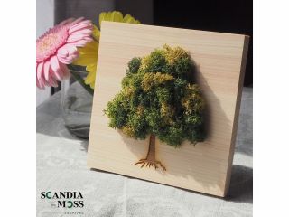 ミニモスツリー完成形