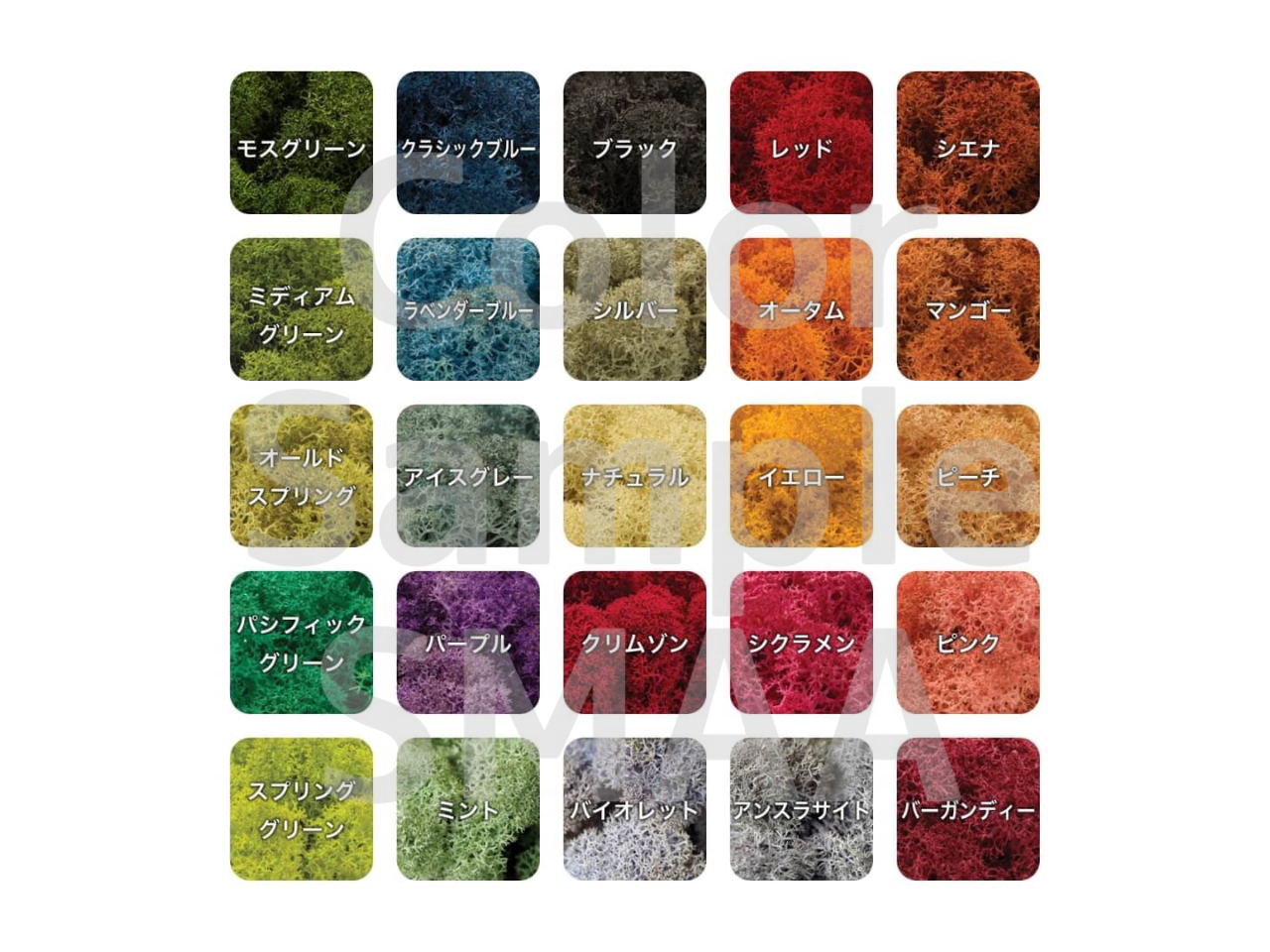 �J���[�S25�F.���̒�����5�F��I��őn��܂�.