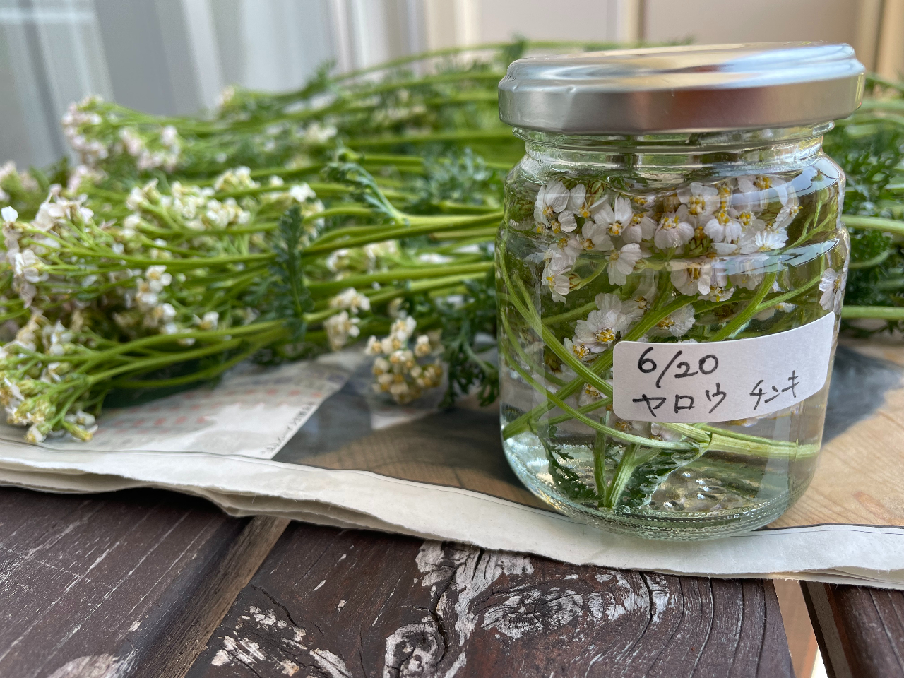 [̃`L܂͍RǍp̂ōRǁERۍpArEjLrE]Ȃǂ̉ǂ߂܂B