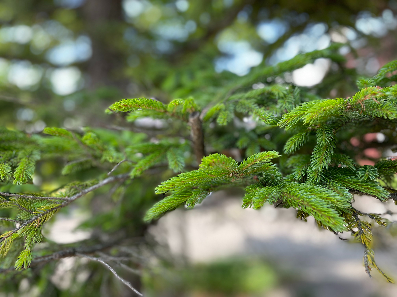 X̍͐SȂW͂߂ɁAS肳T|[gɂȂ܂B