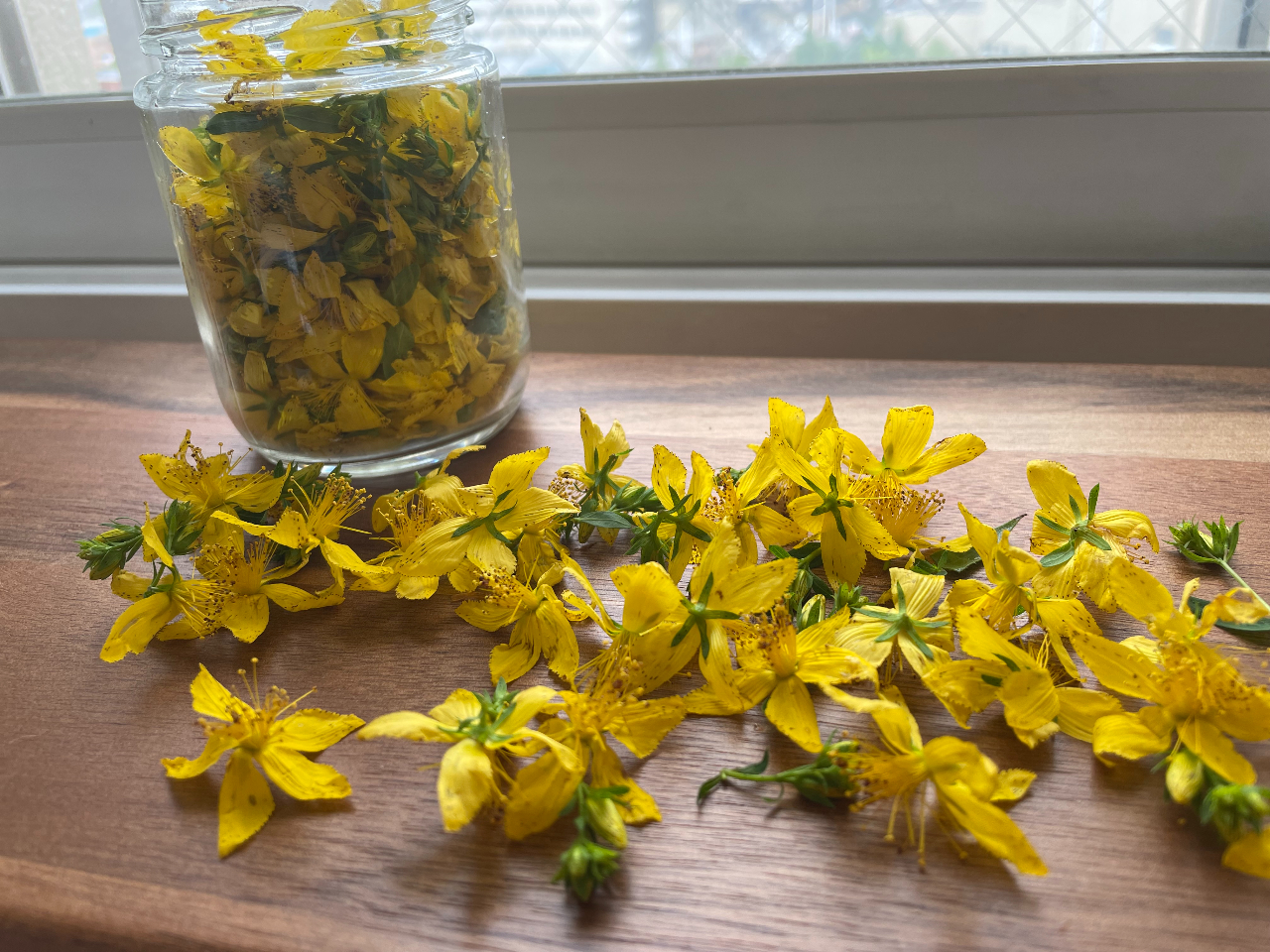 ZgWY[g͐_oؓ̒ɂ݂炰A_oɁEEɁE֐ߒɂɌʓIłB ܂ǂ}AŖo˂񂴁AΏAẴPAɂLB