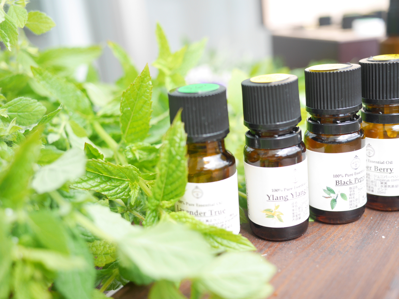 n[uZoɐāAo[g[gg܂܂B