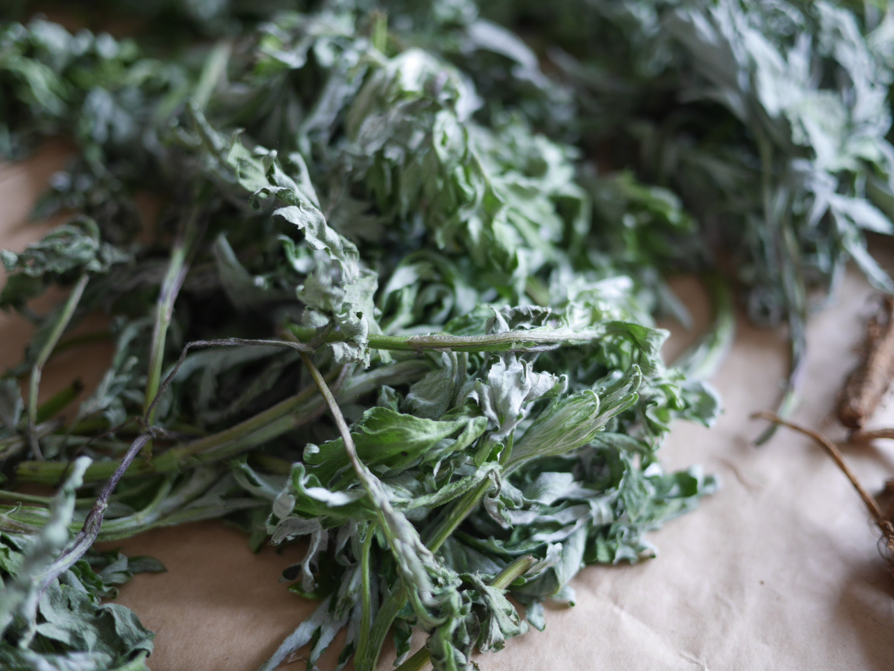 体を内側から温め、冷えによる関節痛や肩こり、腰痛をやわらげます。またチネオールやツヨンなどの成分が炎症を鎮め、痛みを緩和します。